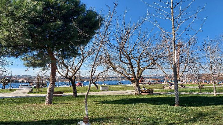 Mandal Lounge Buluşması